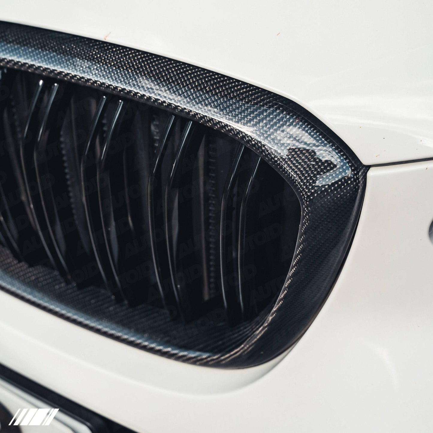 Carbon Fibre Kidney Grilles for BMW X3, X3M, X4 & X4M (2019+, G01 G02 F97 F98) - Evolve Automotive